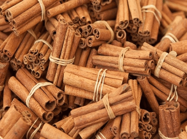 Cigarette Cassia - Image 6